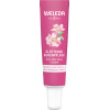 Weleda ROSE MUSQUÉE & THÉ BLANC Contour des Yeux Lissant, 12ml | Parashop.com